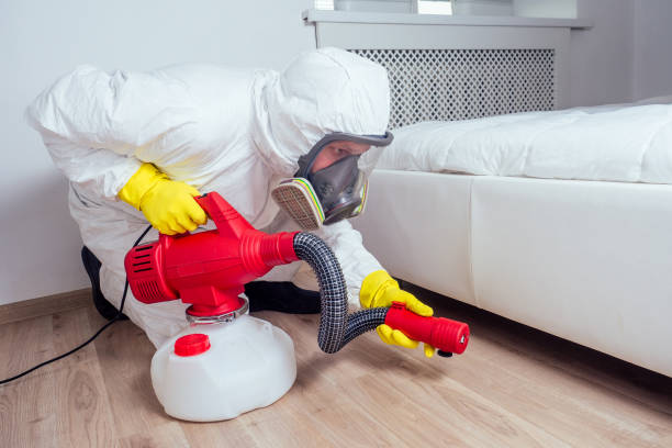 Insect Control in Cottonwood Shores, TX