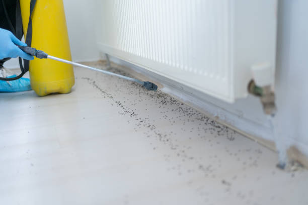 Best Commercial Pest Control Services  in Cottonwood Shores, TX